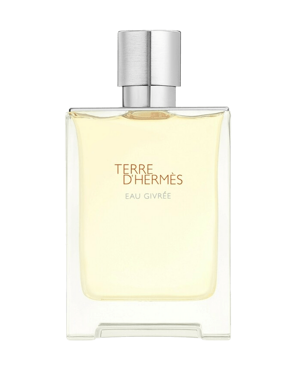 Flakon Hermès Terre d'Hermès Eau Givrée