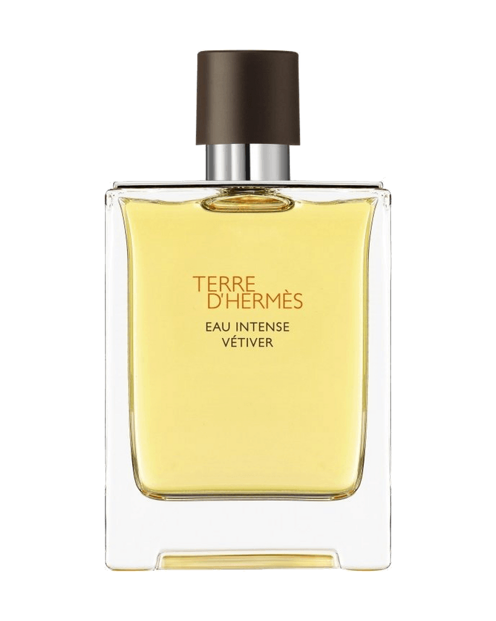Flakon Hermès Terre d'Hermès Eau Intense Vétiver