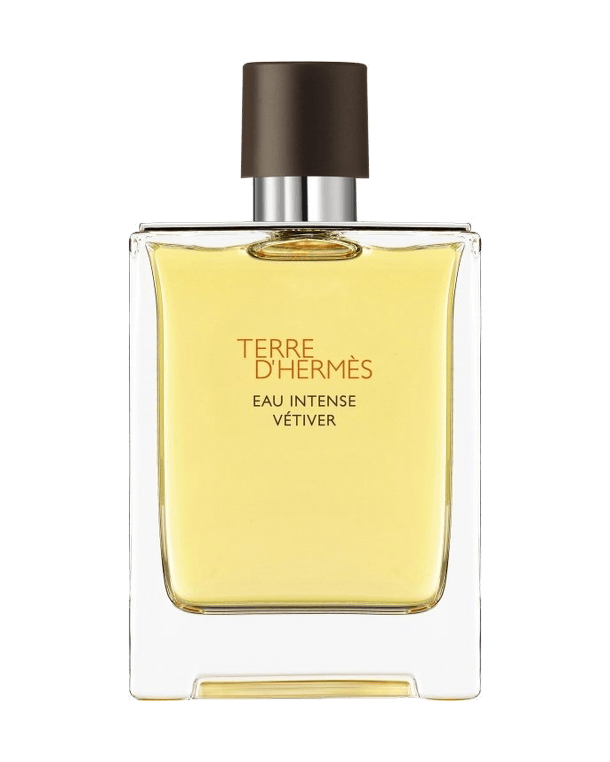 Flakon Hermès Terre d'Hermès Eau Intense Vétiver