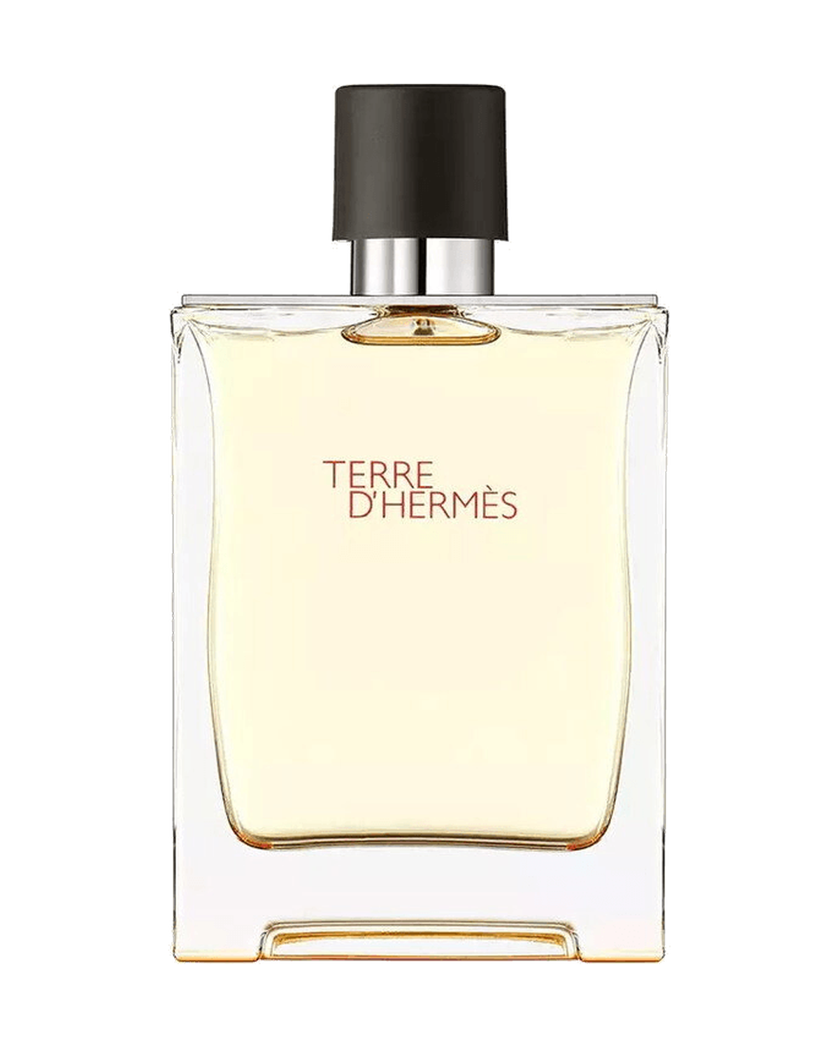 Hermès Terre d'Hermès – Abfüllungen in 2, 5, 10 und 20 ml vor dem Originalflakon